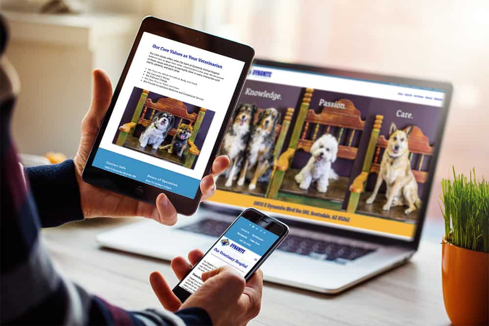 Veterinary Website Design