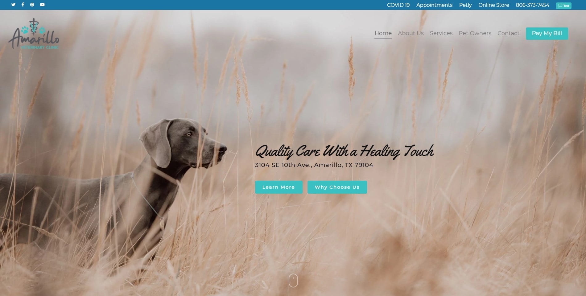 Amarillo Veterinary Clinic